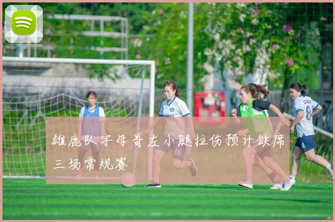 雄鹿队字母哥左小腿拉伤预计缺席三场常规赛
