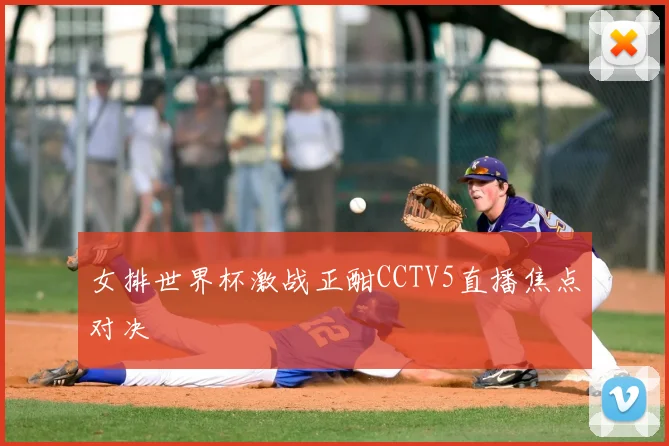 女排世界杯激战正酣CCTV5直播焦点对决