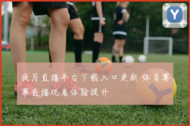 夜月直播平台下载入口更新 体育赛事直播观看体验提升