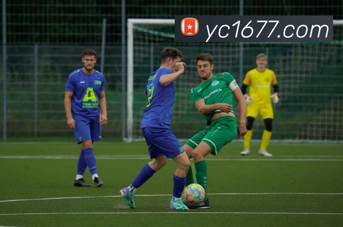 PG国际 - 追求健康，你我一起成长平台生态图